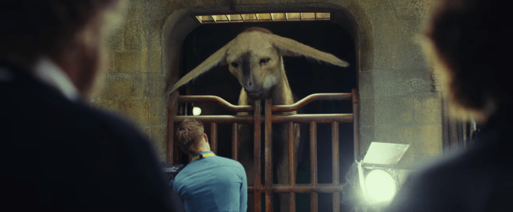 Screen Shot 2017-07-15 at 4.26.01 PM