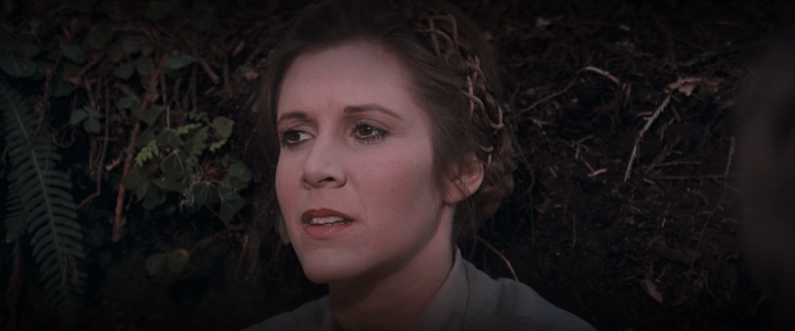 Screen Shot 2020-02-15 at 8.19.27 PM