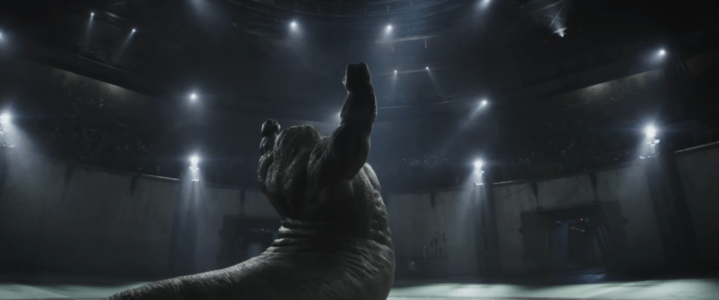 Jeremy Allen White confirms that he is voicing Rotta the Hutt in The Mandalorian and&nbsp;Grogu